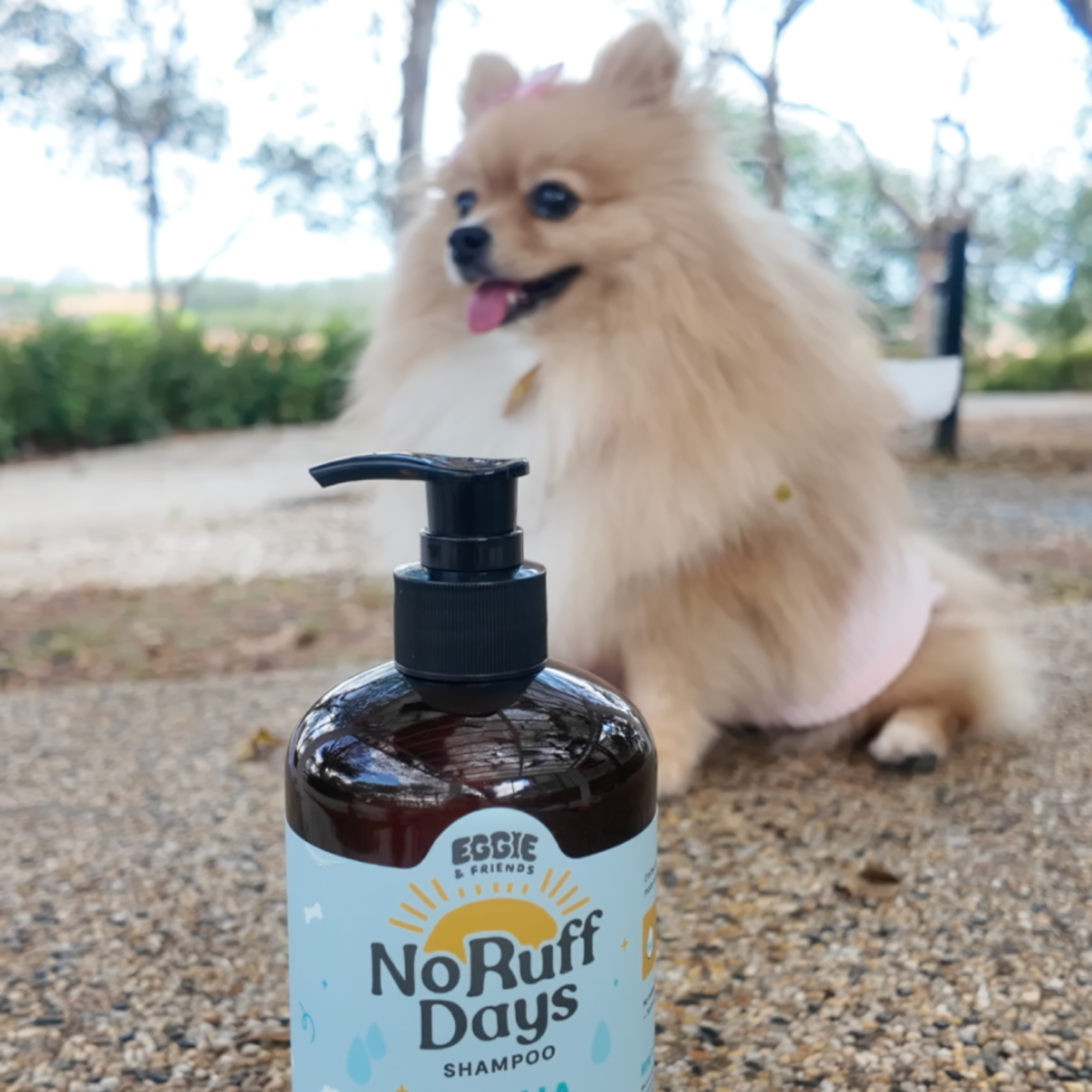 No Ruff Days Pet Shampoo โ Trial Pack Customer review photo 3
