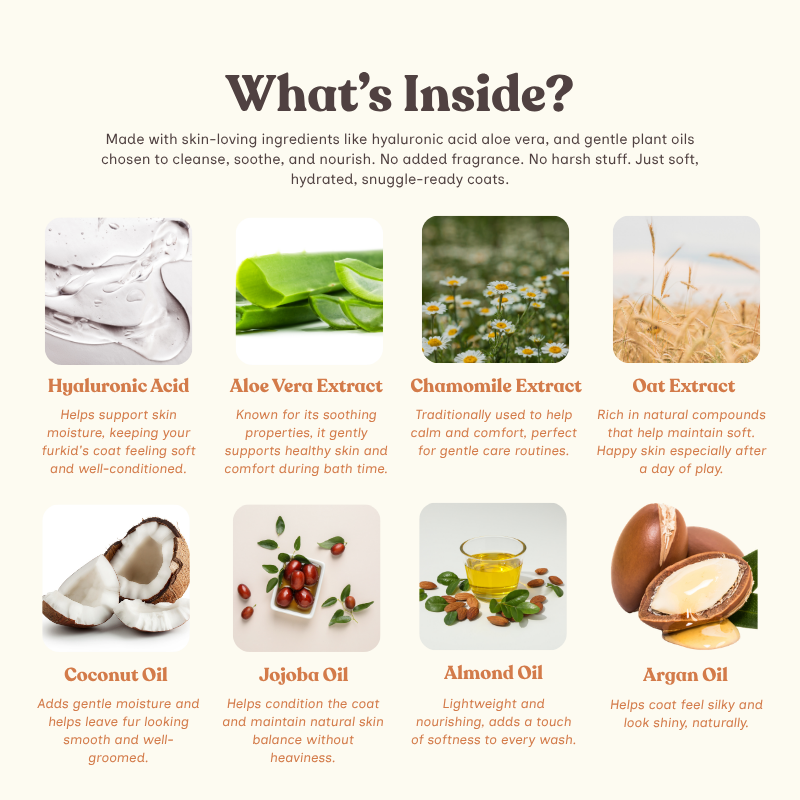 What's Inside
