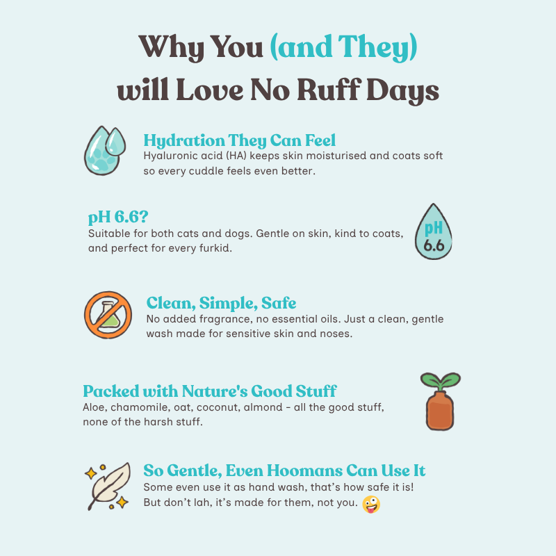 Why You and They Will Love No Ruff Days