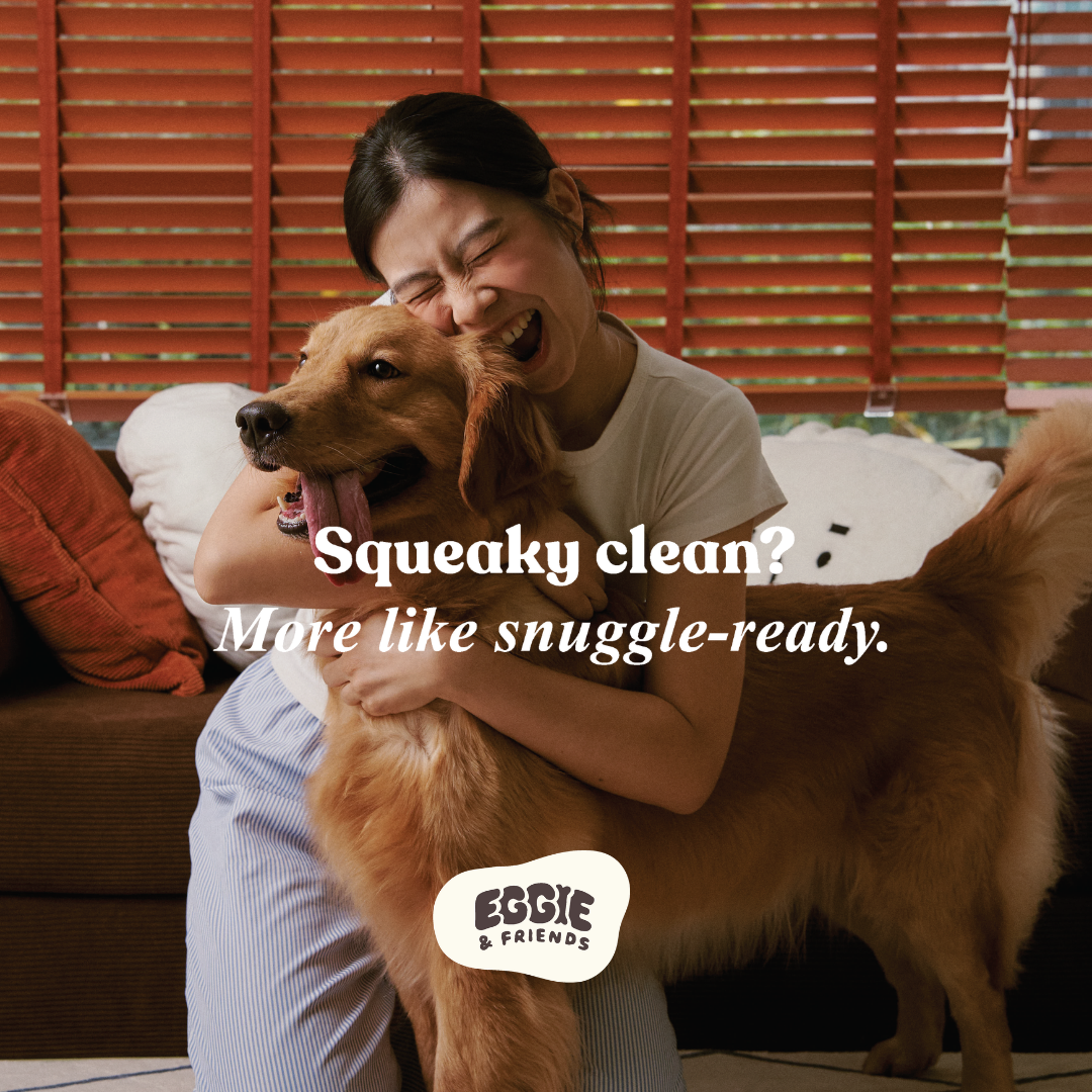 Hugging clean pet