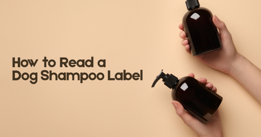 How to Read a Dog Shampoo Label Hands holding two pet shampoo bottles to compare their labels
