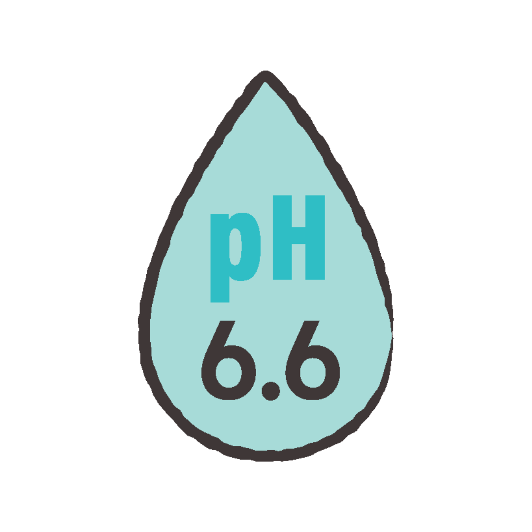 Main Home Page- Elementor pH 6.6 furkid-friendly illustration